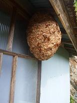 XYo`쏜@Y